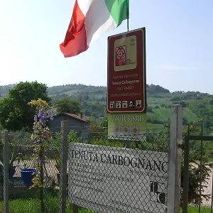 Tenuta Carbognano Gemmano